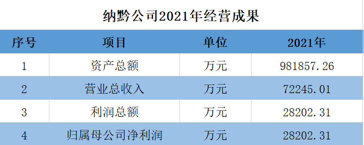 纳黔公司2021年经营成果.png